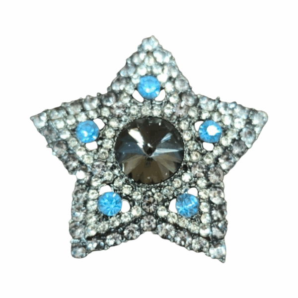Broche en forma estrella